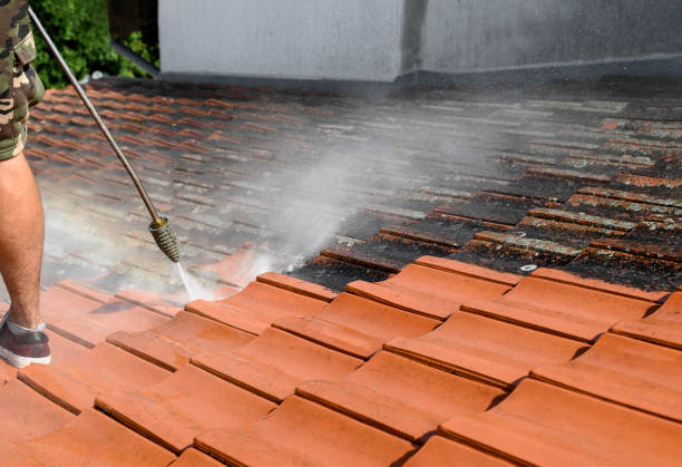 Best Pressure Washing Services for Businesses  in Sturgeon, PA